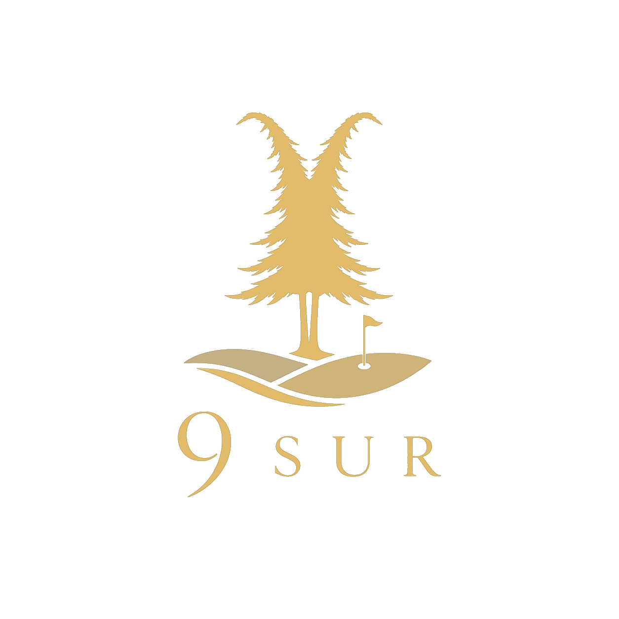 9 SUR